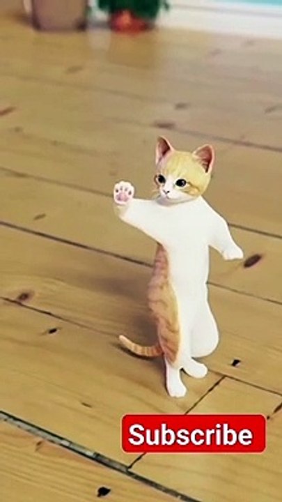 calm down cat videos 