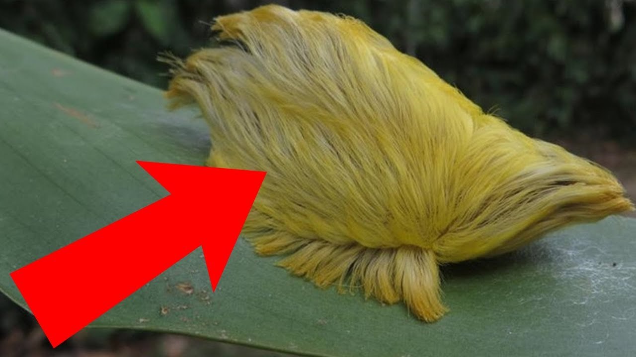 If You See This, Run Fast And Ask For Help!