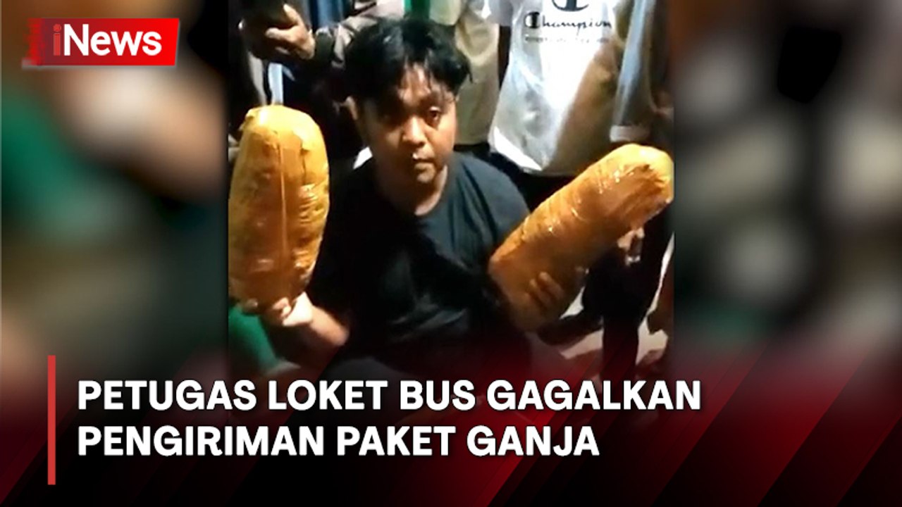 Petugas Loket Bus di Mandailing Natal Gagalkan Pengiriman Paket Ganja Tujuan Jakarta