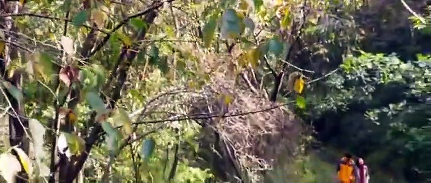 Deep Trap Korean horror thriller movie