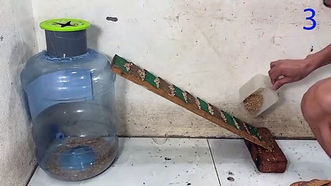 Mouse Trap with a big water bottle   World's Best Mouse Trap   Mouse trap video