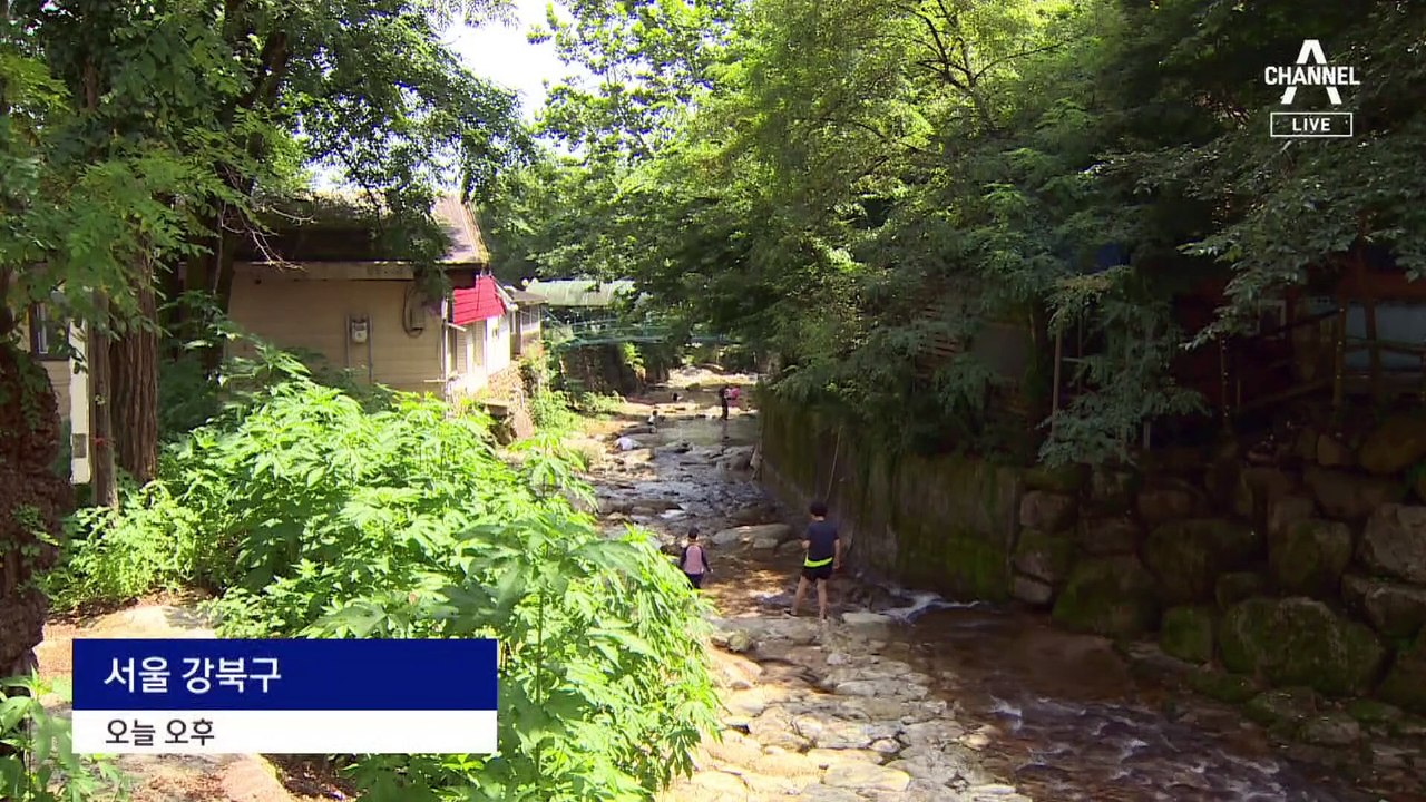 남 일 아닌 열대화…다음 주까지 찜통더위