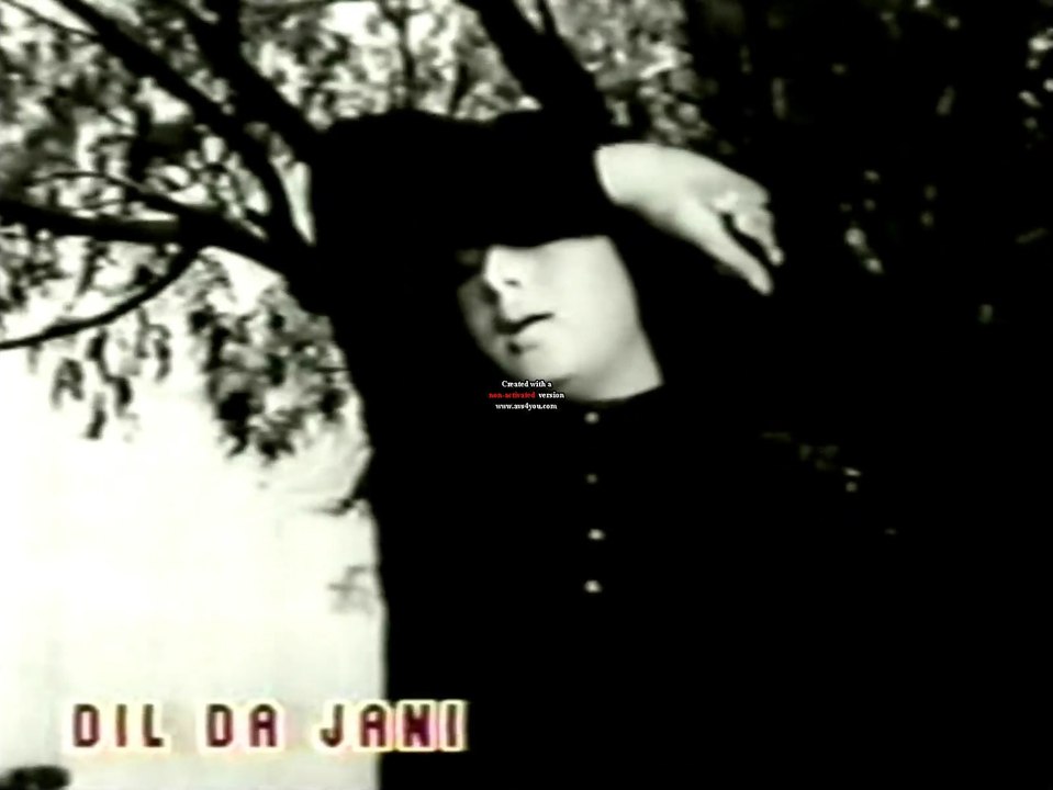 DIL Da jani saiyoni mere dil da jani