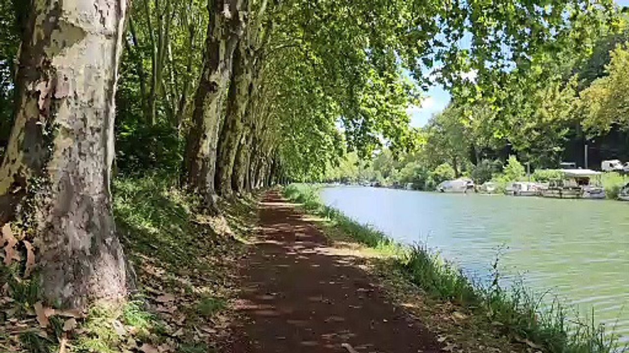 Samsung Galaxy Z Flip 5 : vidéo en qualité UHD (4K) à 60 i/s avec stabilisation normale