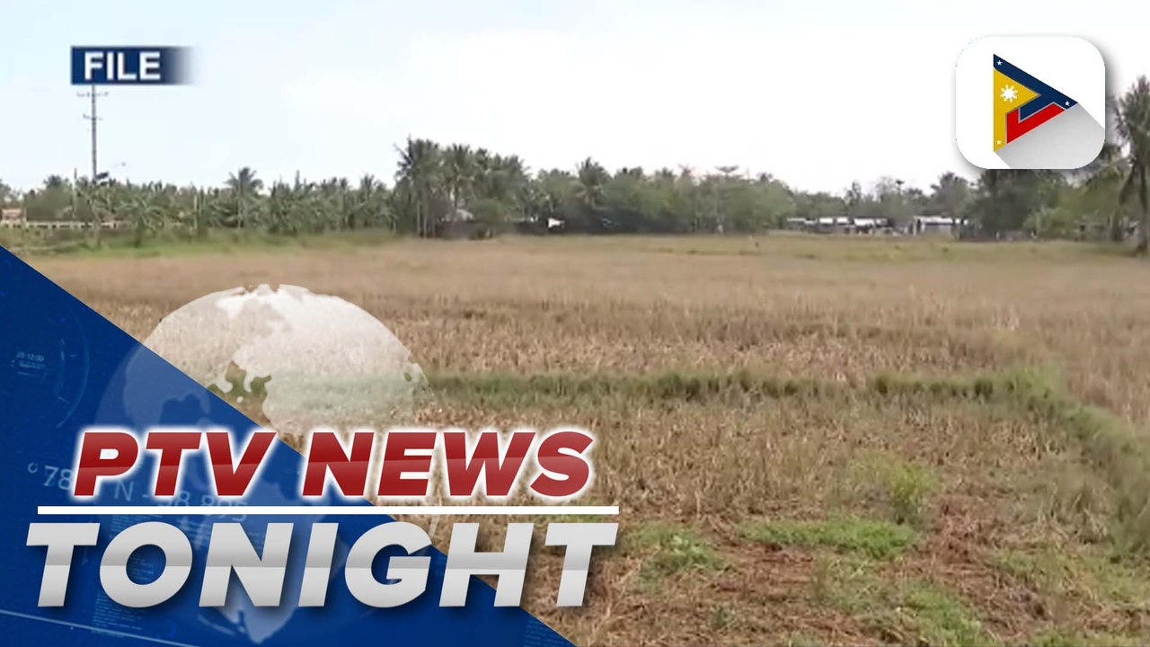 DOST scientist says climate change affects agriculture, food supply in PH