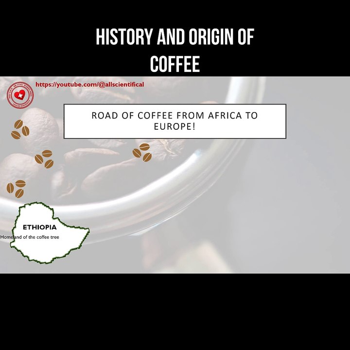 History and origin of coffee