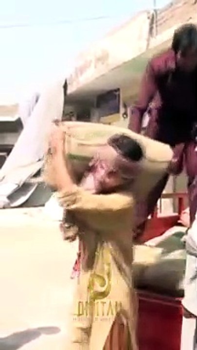 Qurban Da Muhabbata | Pashto Drama Best Scene