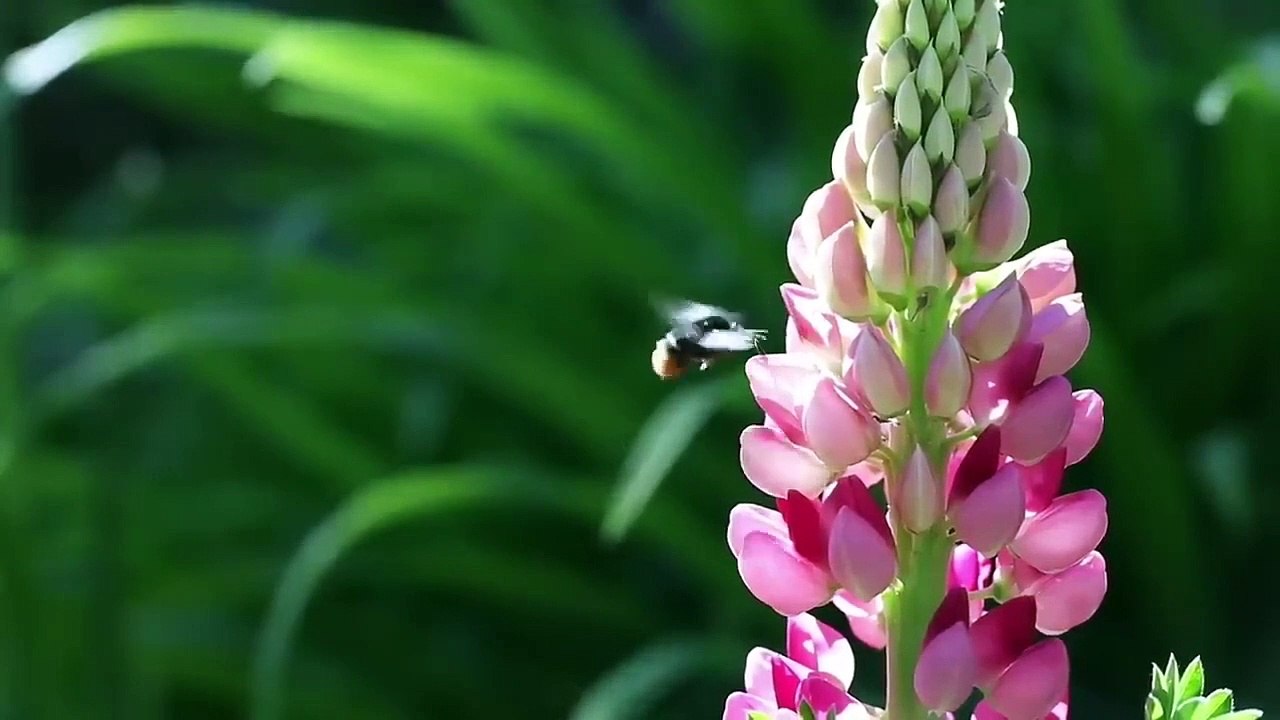 বাংলা চটি গল্প  | গোপনে দেখুন নতুন গল্প