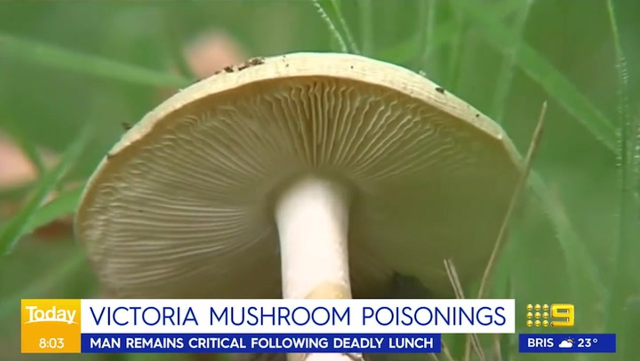 Priest in disbelief after three dead in suspected mushroom poisoning