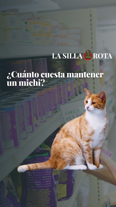 ¿Cuánto cuesta mantener un michi?