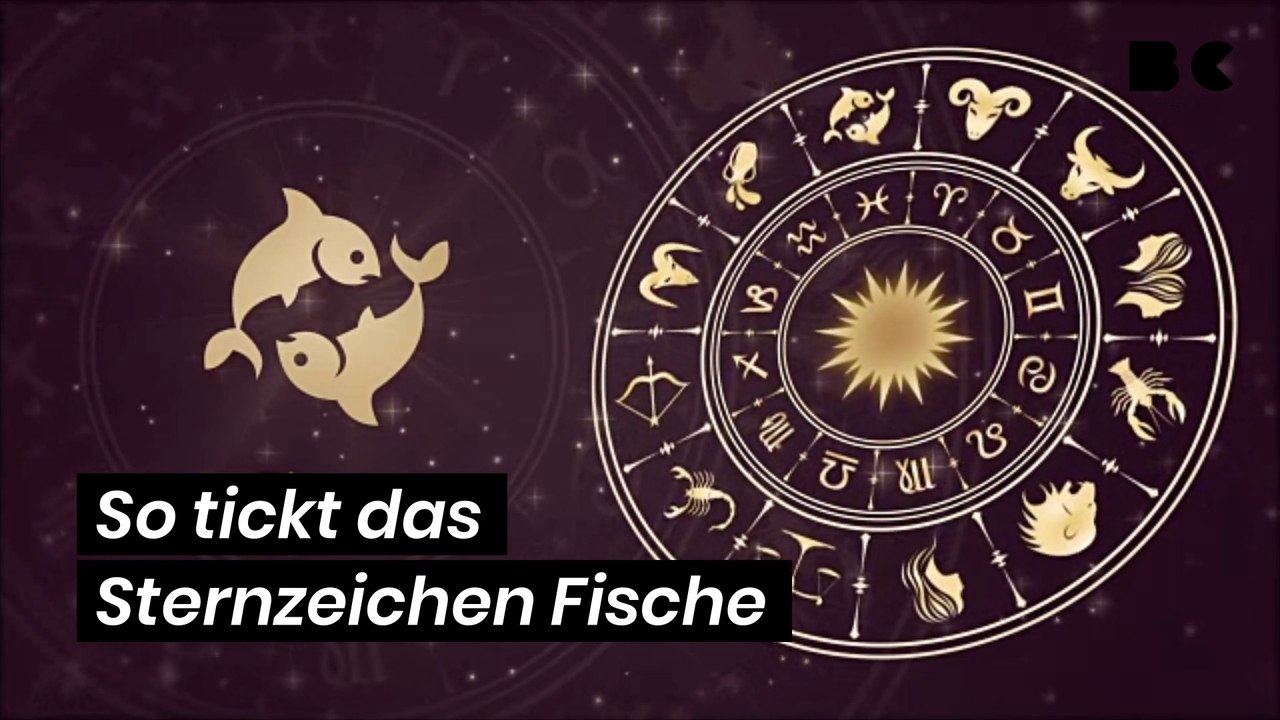 So tickt das Sternzeichen Fische