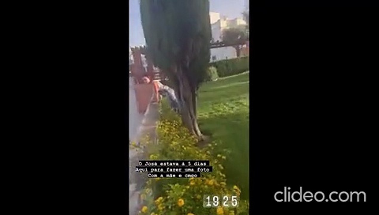 Cinha Jardim critica atitude da família Aveiro com fã - 'Acho indecente...'