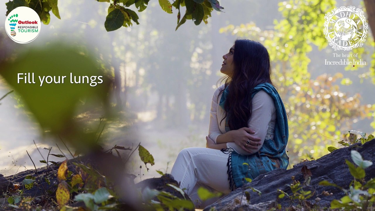 MP Wellness | Forest Bathing