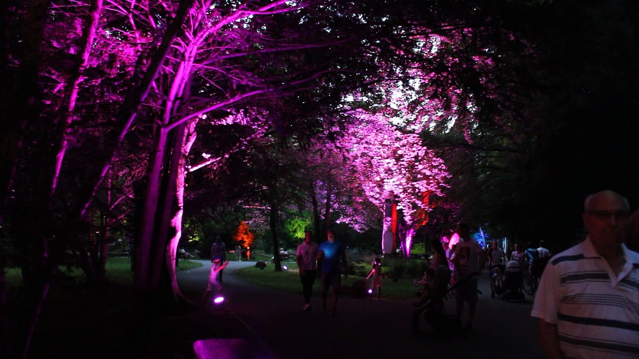 GORLICE FESTIWAL SWIATLA