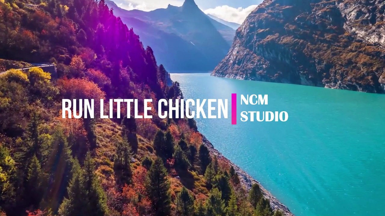 Run Little Chicken - The Mini Vandals  Reggae Music, Happy Music, Hope Music