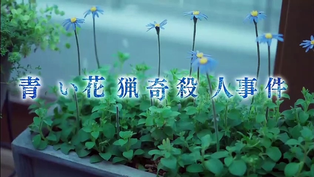 蝶の力学 殺人分析班 | show | 2019 | Official Trailer