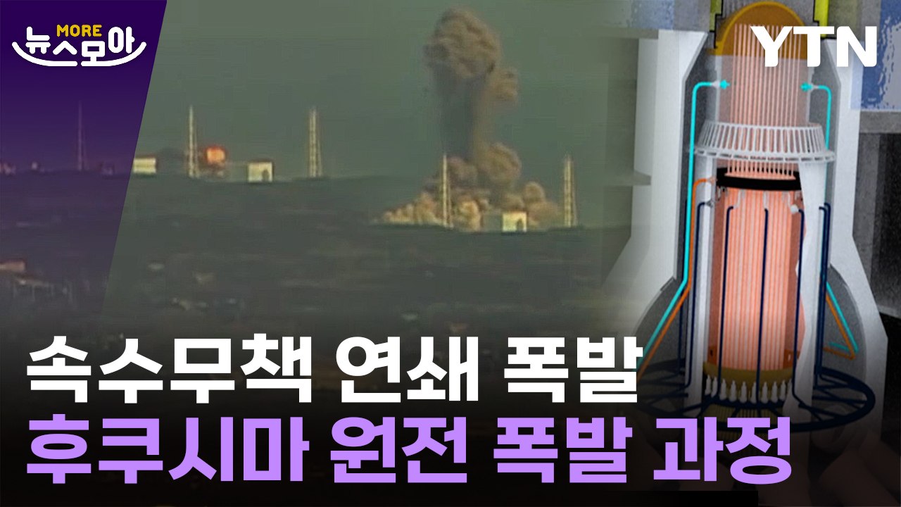 [뉴스모아] 공포의 '블랙아웃'…후쿠시마 원전은 왜 폭발했나 / YTN