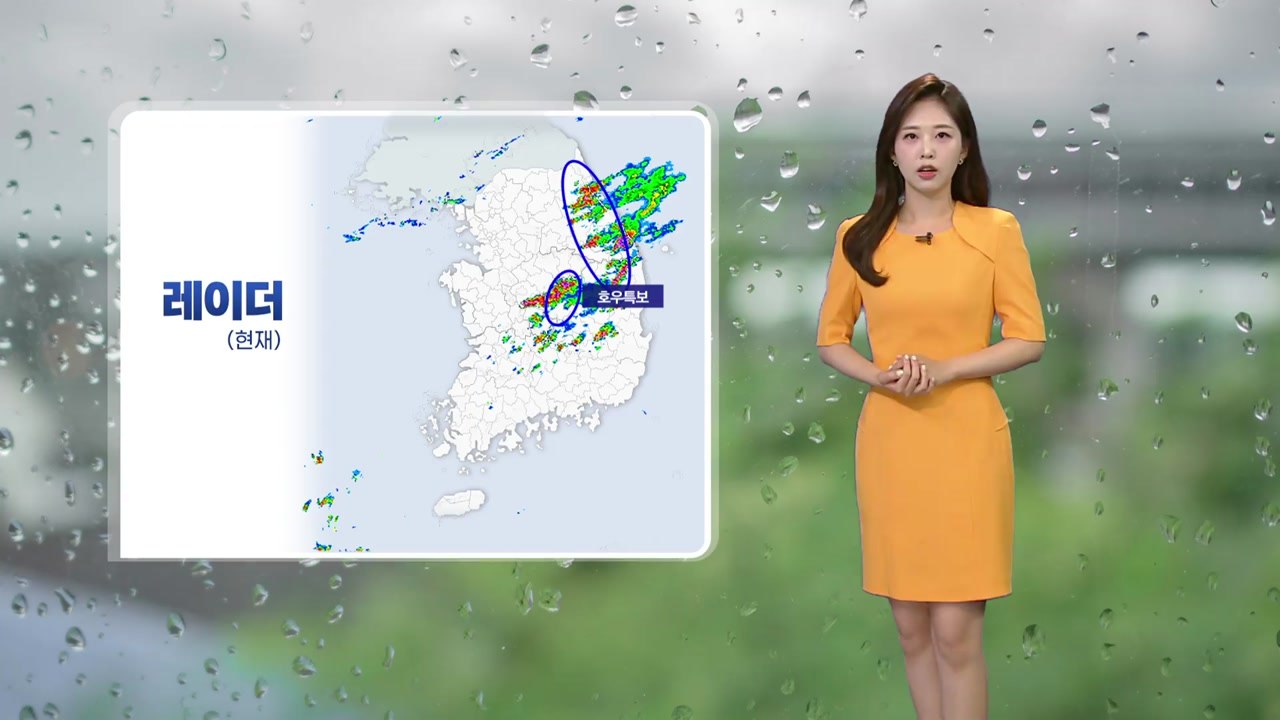 [날씨] 밤까지 곳곳 소나기...내일 중부 중심 강한 소나기 / YTN