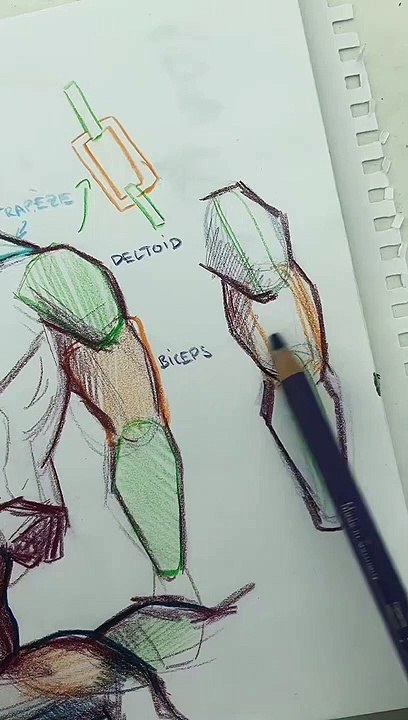 ✏️ TUTO : Dessiner des bras (pas musclé)