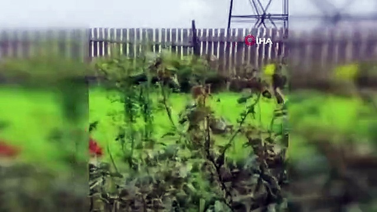 Wagner lideri Prigojin ölmedi mi? İngiliz uzmandan uçak kazasıyla ilgili bomba iddia