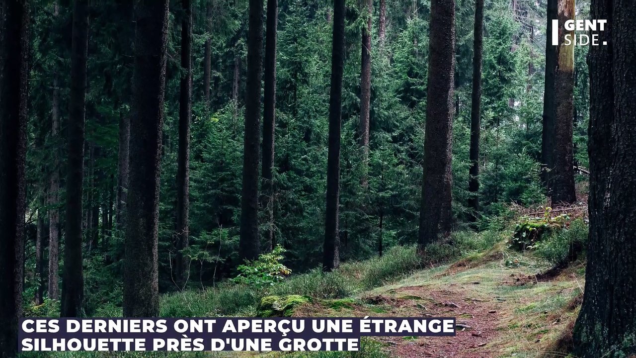 En randonnée, ils croisent un étrange “homme loup” et le prennent en photo