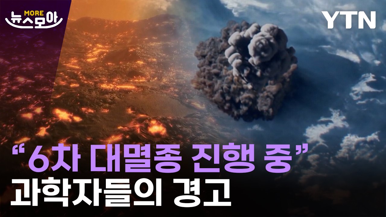 [뉴스모아] 인류가 위험하다…"6차 대멸종 진행 중" / YTN