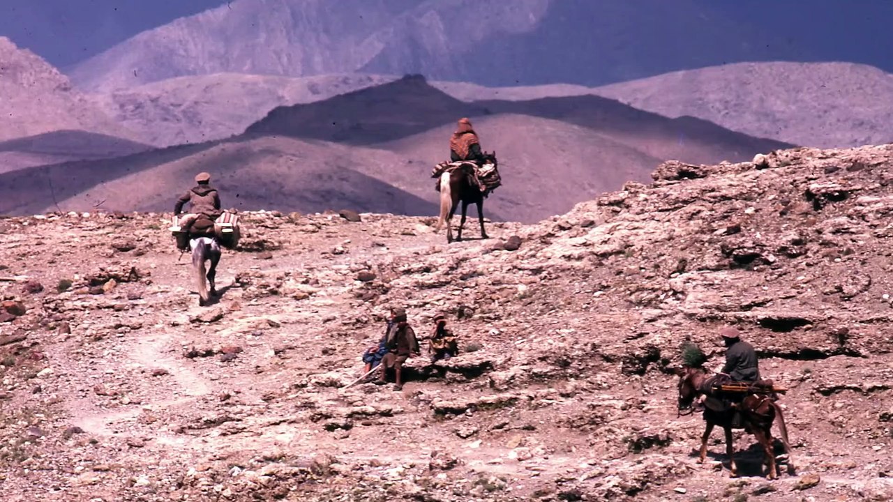 映画『鉛筆と銃　長倉洋海の眸（め）』特報