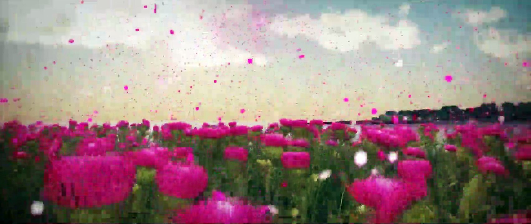 După tot ce s-a întâmplat | movie | 2023 | Official Trailer