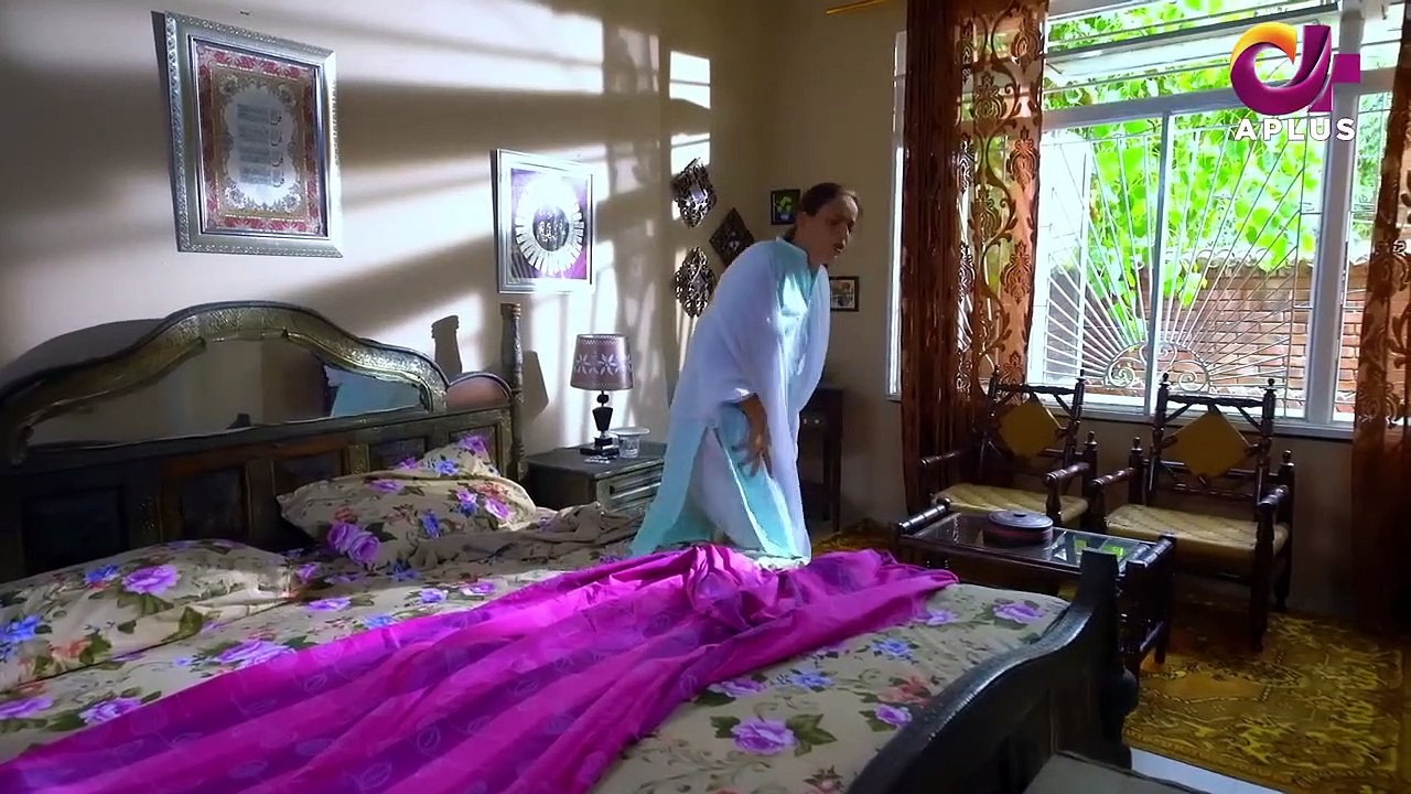 Pakistani Drama Dil Nawaz Episode - 19