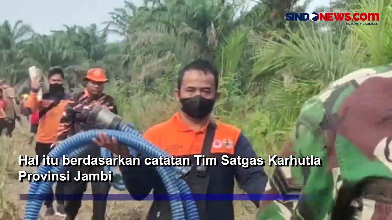 Total Lahan 325 Hektare Terbakar di Jambi, Penyebab Kebakaran karena Ulah Masyarakat