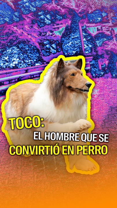 Toco: El hombre que se convirtió en perro