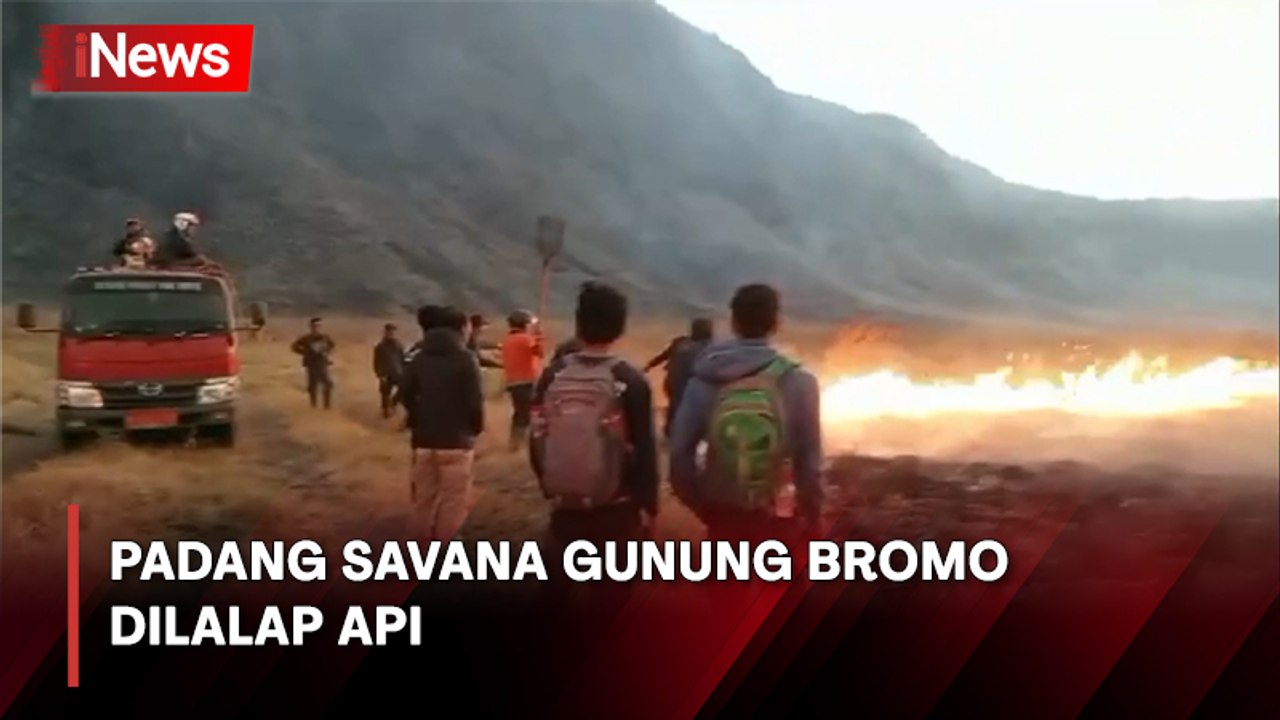 Wisata Gunung Bromo Ditutup Sementara, Kawasan Padang Savana Terbakar