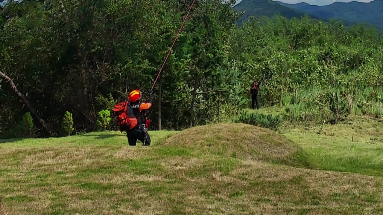 정읍서 벌초하던 60대 사망 / YTN