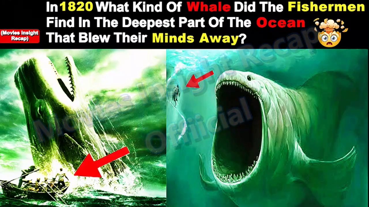 In The Heart Of The Sea (2015) Movie Recap | Movies Insight Recap