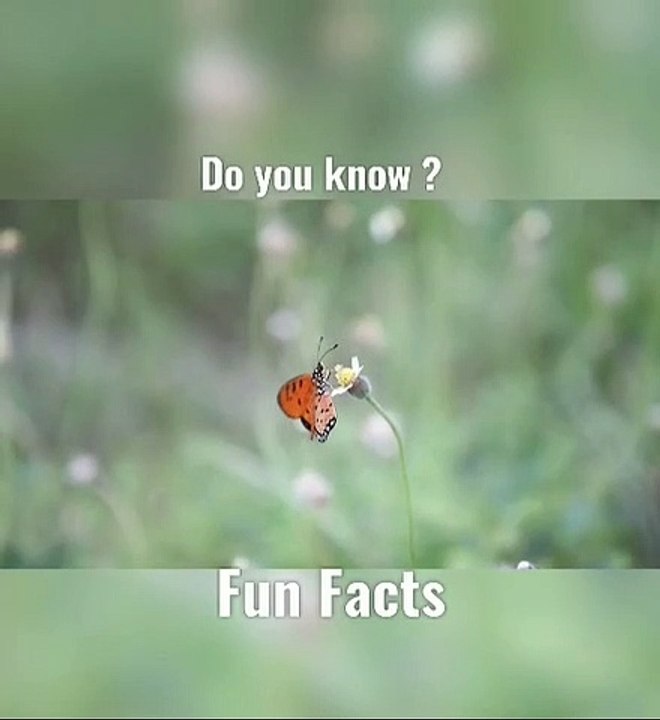 Brain Capacity Decision Making