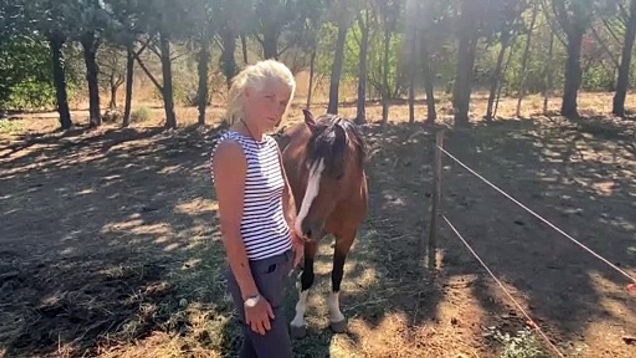 Un centre équestre du Var accusé d’actes de cruauté et de maltraitance: la directrice se défend