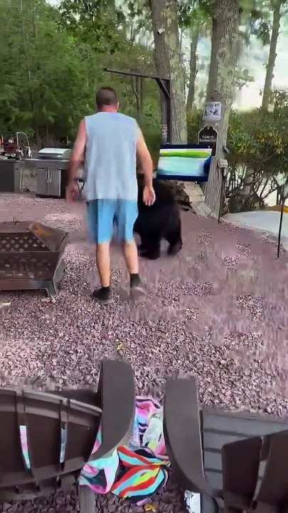 Mike dégage un ours du campement