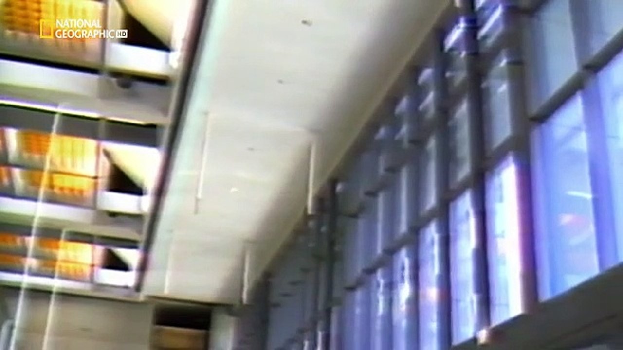 Seconds from disaster Skywalk Collapse