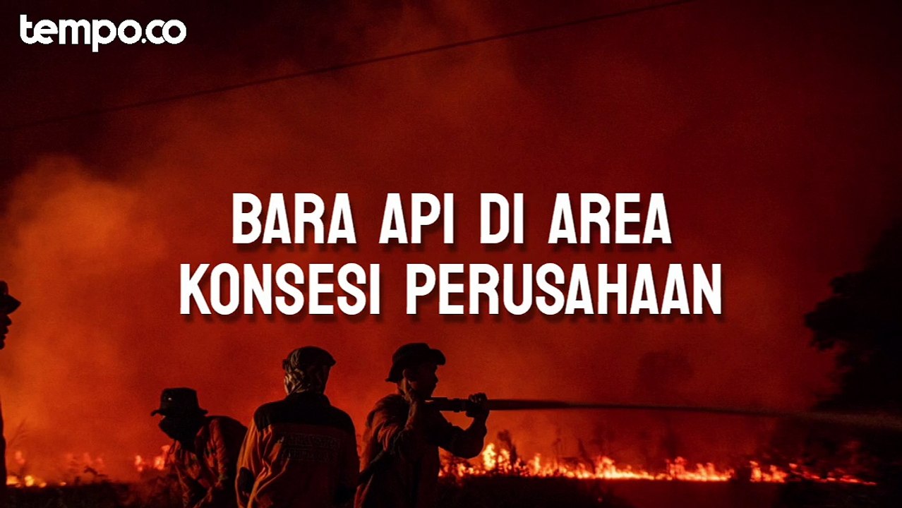 Explain: Bara Api di Area Konsesi Perusahaan