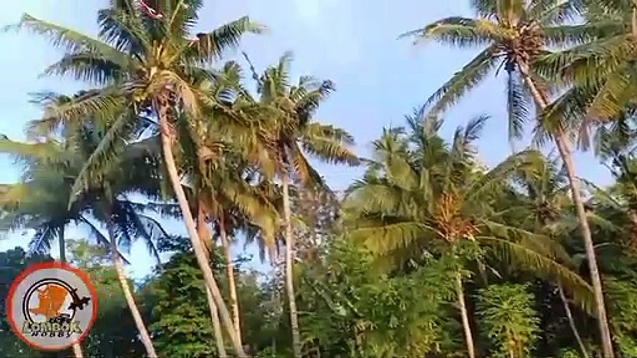 Rubber Powered Maiden flight