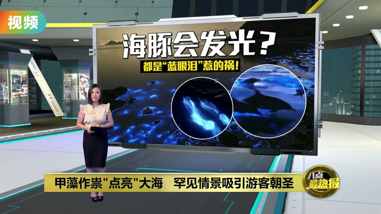 大片蓝光吸引观光客   加州现"蓝眼泪"奇景