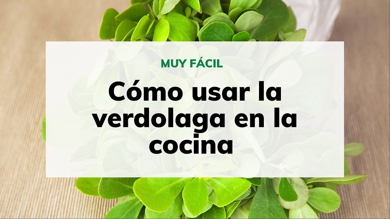 CÓMO USAR LA VERDOLAGA EN LA COCINA