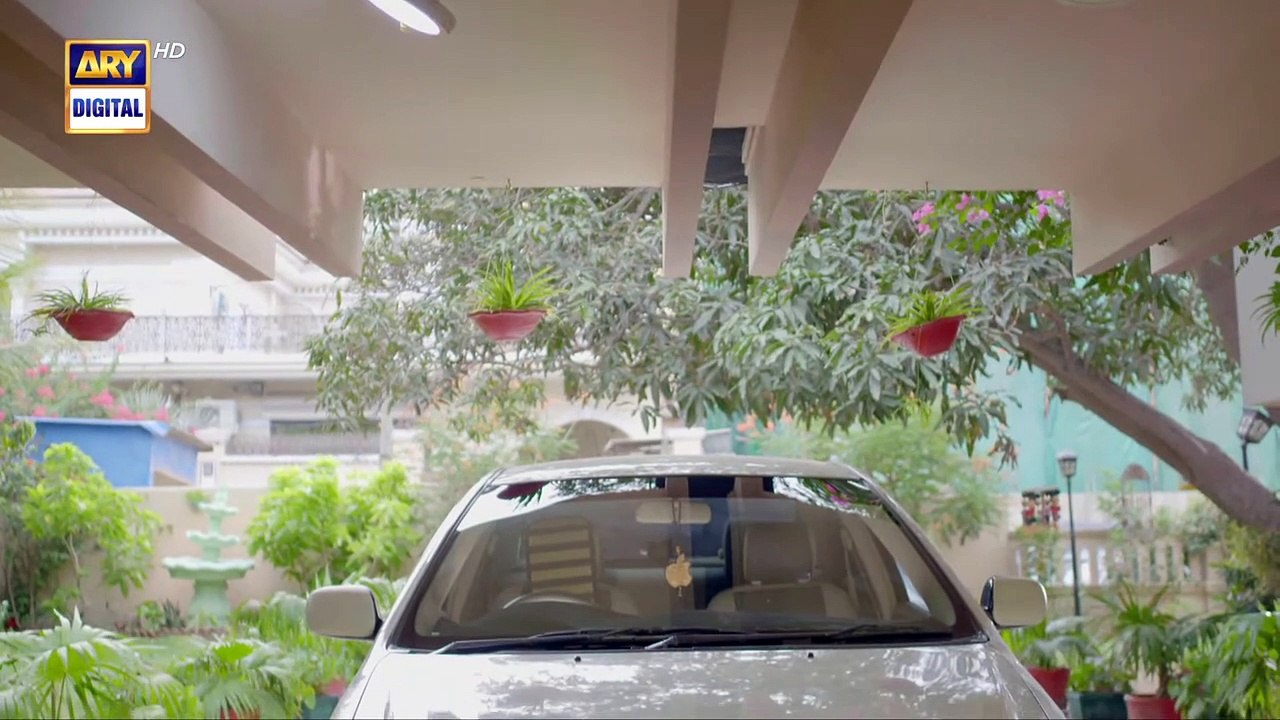 Mayi Ri  Episode 48  18 September 2023  ARY Digital Drama