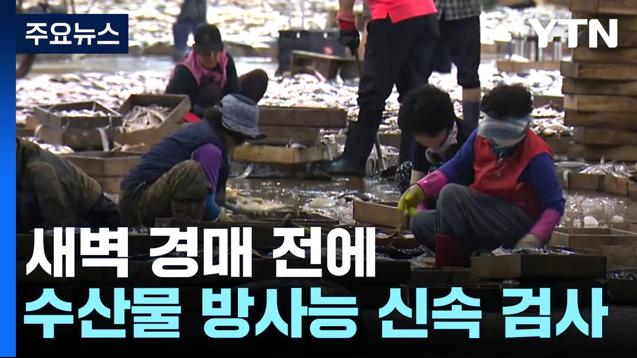 경매 전 방사능 신속 검사...상인들은 그래도 '답답' / YTN