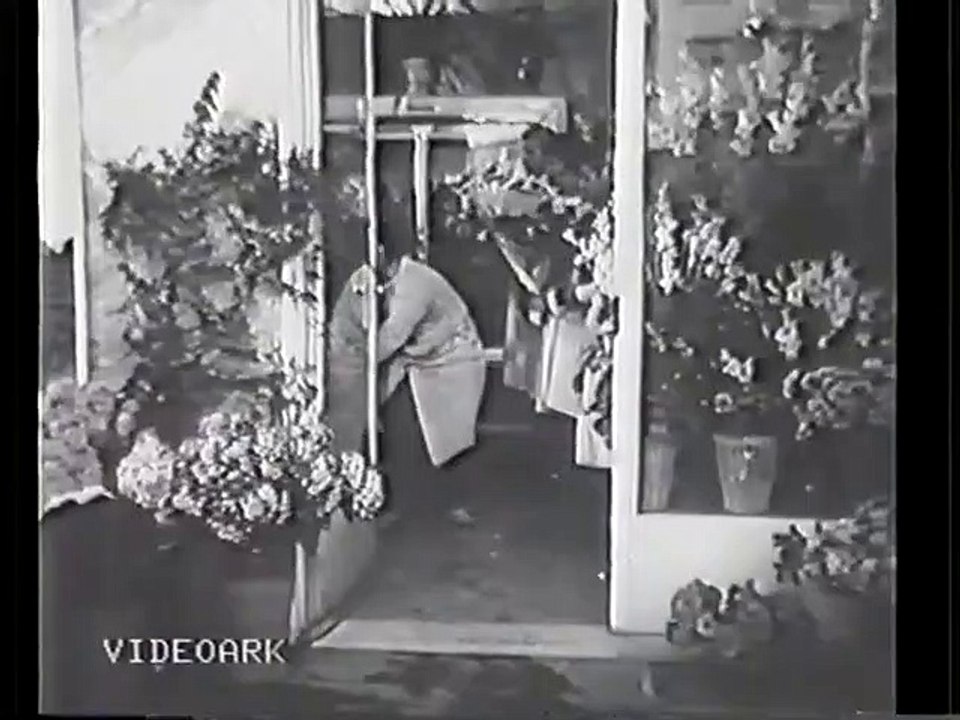 ΣΑΝ ΘΕΛΕΙ Η ΝΥΦΗ ΚΙ Ο ΓΑΜΠΡΟΣ - 1959 - VHSRip - 720x536