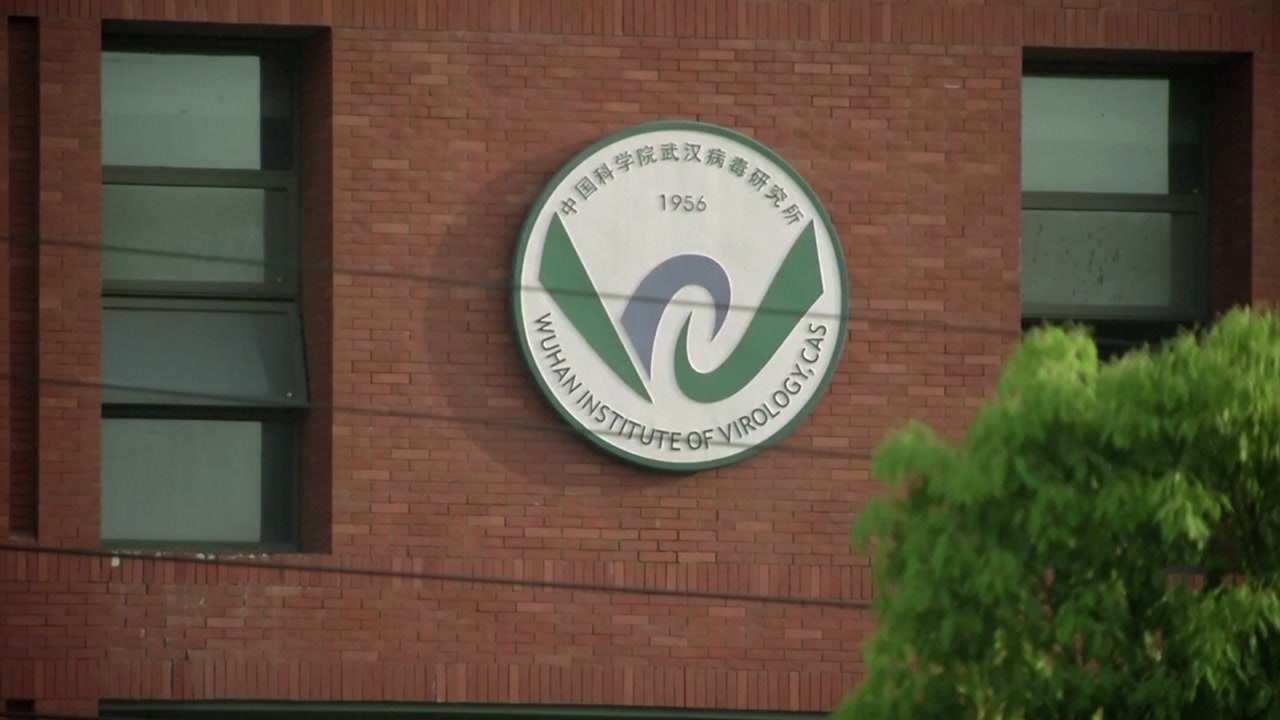 '코로나 유출설' 中 연구소 "새로운 코로나 발병 위험 높아" / YTN