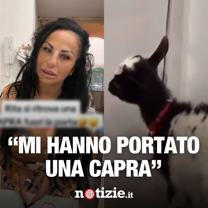 La capra di Rita De Crescenzo