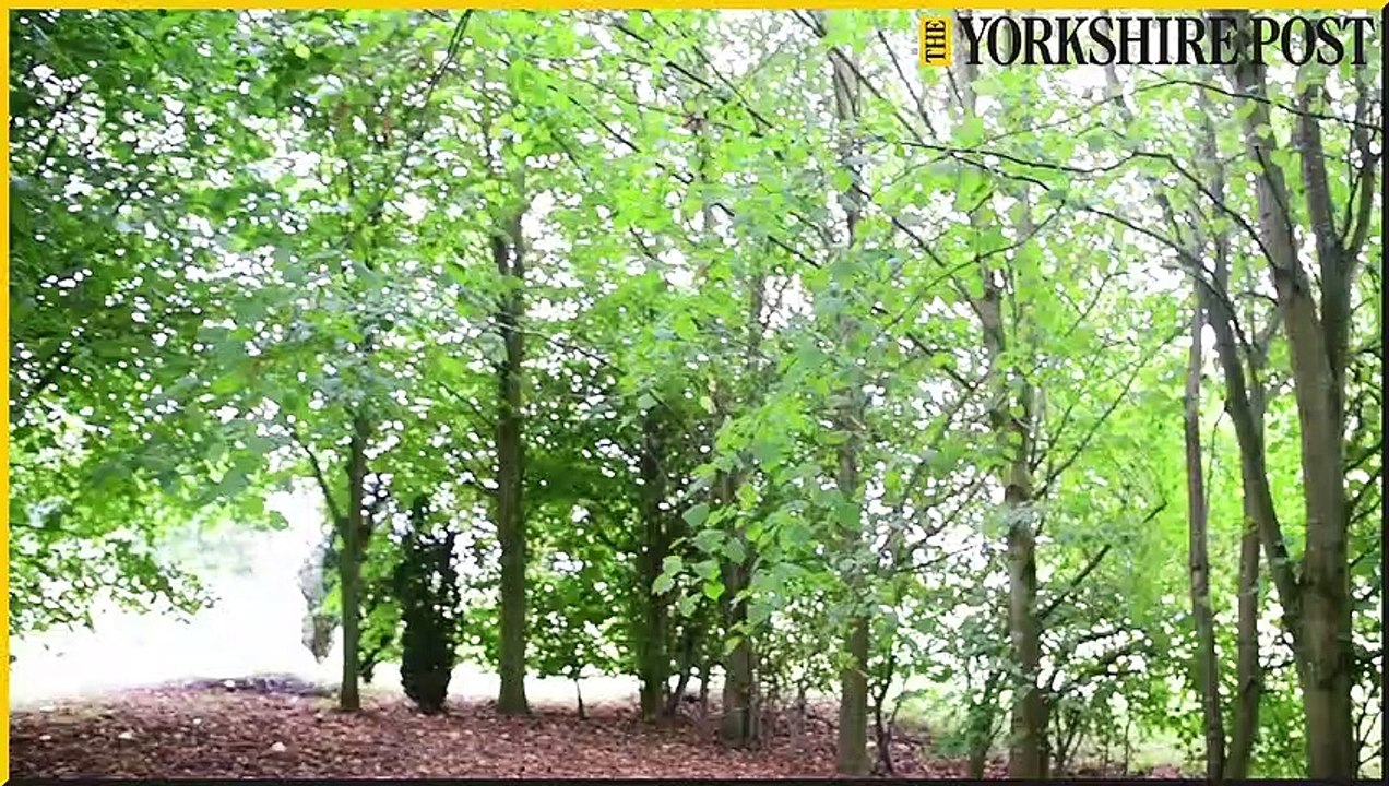 Burton Constable Arboretum plans