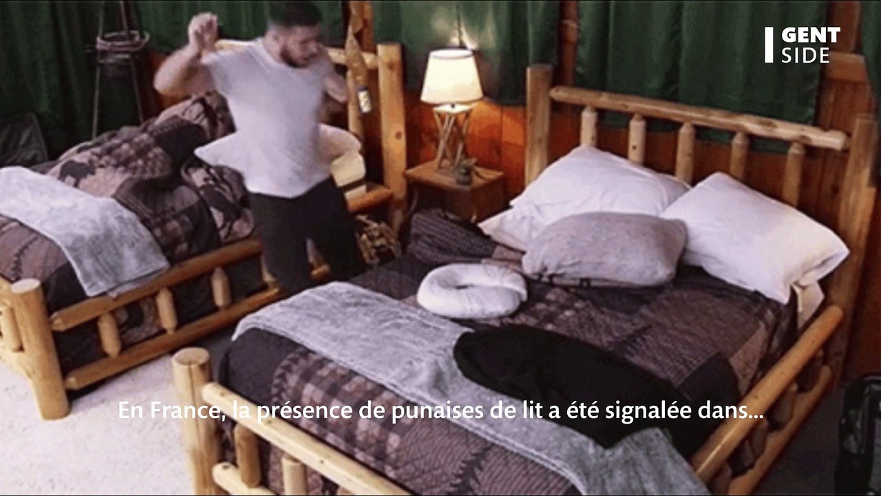 Où se cachent les punaises de lit ?