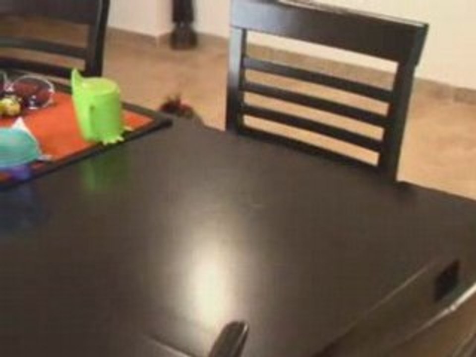 Amira Walks: A Journey of Discovery 🚶‍♀️